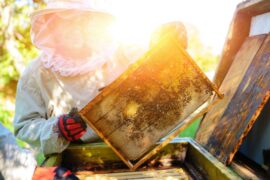 Passion to Profit: The Top 5 Profitable Hobbies To Consider