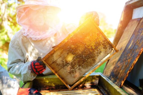 Passion to Profit: The Top 5 Profitable Hobbies To Consider