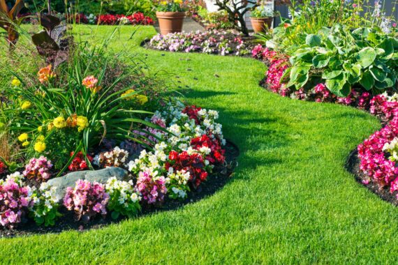 Spring Garden Ideas You Should Be Thinking About Now