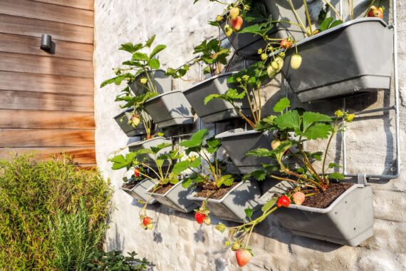 5 Tips and Tricks for Small Garden Spaces