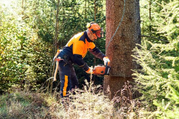All the Things That the World Uses Chain Saws For