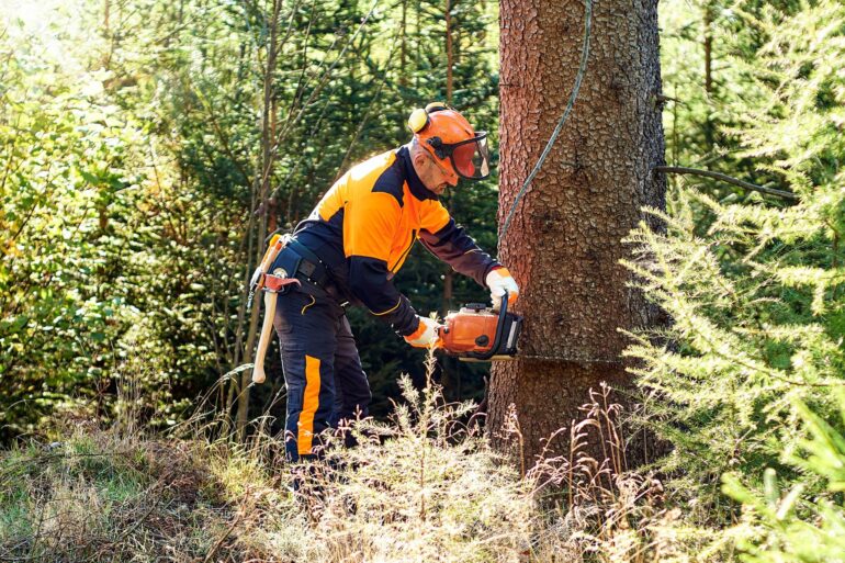 All the Things That the World Uses Chain Saws For