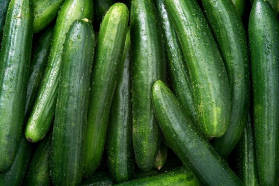 Natural Fruits and Vegetables You Can Grow in a Garden