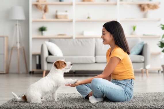 Adopting a Puppy: Tips for Raising Your First Dog
