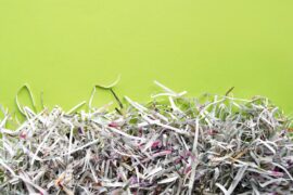 A large pile of shredded papers sits against a bright green background. The papers contain letters and colors.