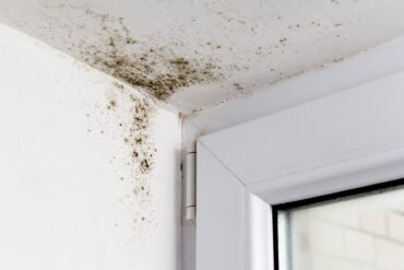 Dark spots of mold spreading across the ceiling, upper walls, window frame, and corner of a white room.
