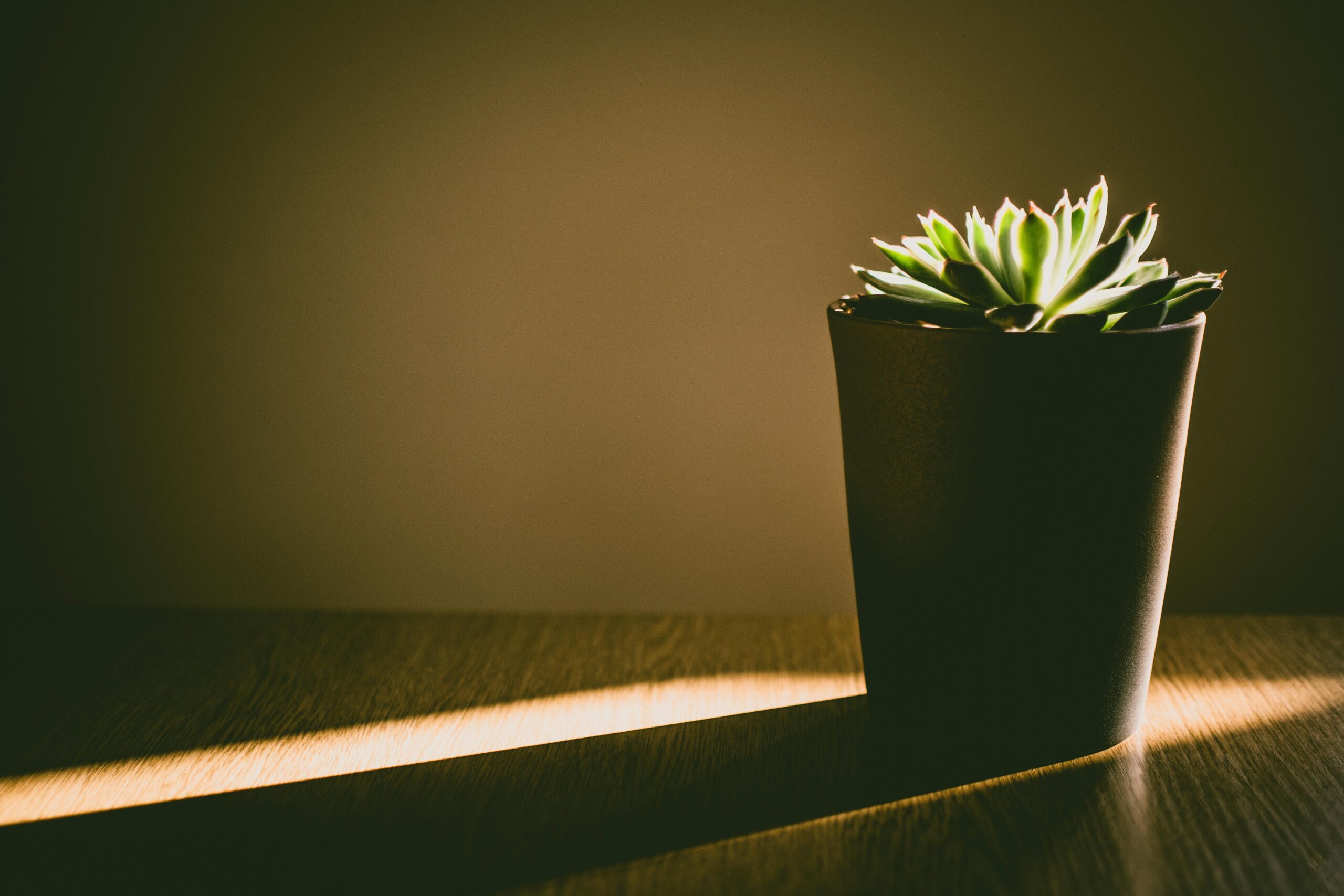 How a Dumpster Rental Can Support Minimalist Lifestyle Transformations