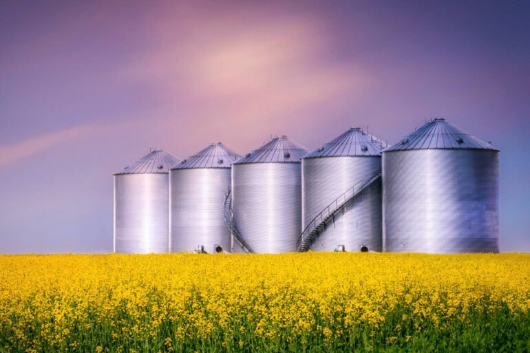 A field of tall yellow flowers sits in front of five oversized, silver silos. The blue sky appears behind the silos.