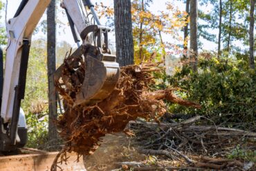 A tractor with a skid steer attachment is in a heavily wooded area. Its arm picks up branches and roots.