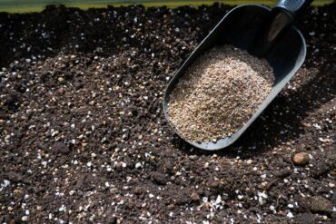 A garden trowel filled with vermiculite resting on a bed of dark soil speckled with perlite.