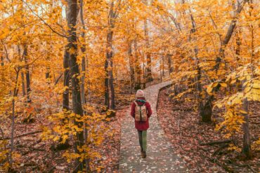 A woman wearing a red coat, pink beanie, green pants, and a brown backpack hikes on a trail surrounded by fall foliage.