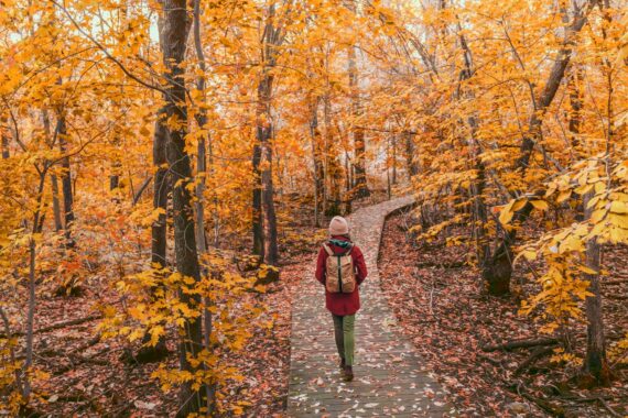 A woman wearing a red coat, pink beanie, green pants, and a brown backpack hikes on a trail surrounded by fall foliage.