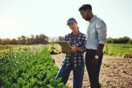 A woman wearing a plaid shirt and a man wearing a dress shirt looks at a tablet while standing next to a farm.