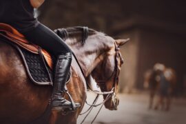 A rider wearing black boots seated on a brown bay horse in the saddle, capturing a moment in equestrian sport.