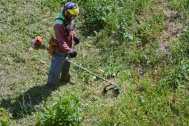 An aerial view of a man in full protective gear, using a weedwhacker to clear an overgrown section of yard.