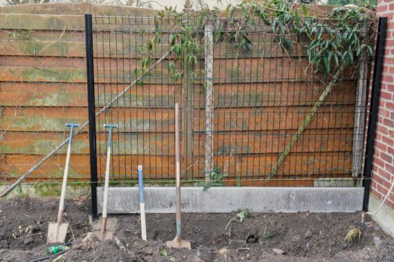 The corner of a backyard with a wooden fence and rabbit fencing. The ground is mostly dirt and there are garden tools.
