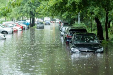 A residential street is lined with different parked vehicles. Floodwaters fill the street, and trees line the road.